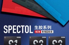 适合新手的乒乓球胶皮 - 赛事资讯分类下的文章配图
