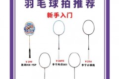 羽毛球拍磅数越高越省力吗 - 实时动态分类下的文章配图