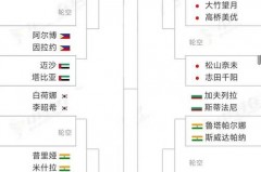 台球世锦赛局数 - 赛事资讯分类下的文章配图