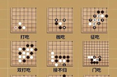 围棋规则是什么 - 全球赛事分类下的文章配图