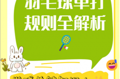 羽毛球比赛竞赛规程的主要内容 - 全球赛事分类下的文章配图