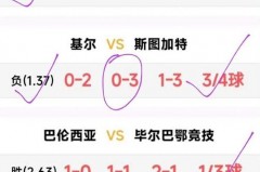 06年世界杯法国队成绩 - 全球赛事分类下的文章配图