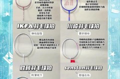 业余羽毛球爱好者如何选择羽毛球拍 - 球队对阵分类下的文章配图