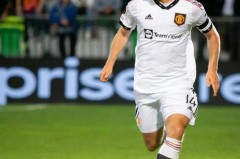 埃里克森是什么级别的球员 - 全球赛事分类下的文章配图