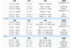 2010世界杯所有赛程比分 - 球队对阵分类下的文章配图