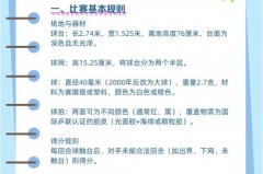 乒乓球比赛中对球拍的要求 - 球队对阵分类下的文章配图