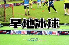 冰球是什么 - 赛事资讯分类下的文章配图