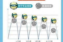 奥运会排球项目分为排球和什么 - 实时动态分类下的文章配图