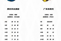 广东宏远男篮队员名单 - 实时动态分类下的文章配图