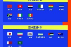 卡塔尔世界杯参赛名单 - 球队对阵分类下的文章配图