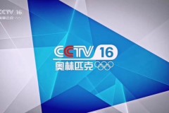 nba2010西决超清cctv五录像 - 球队对阵分类下的文章配图