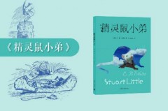 eb怀特的资料 - 实时动态分类下的文章配图