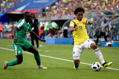 俄罗斯世界杯赛况 - 全球赛事分类下的文章配图