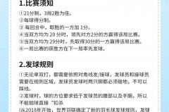 羽毛球比赛规则总结与反思 - 全球赛事分类下的文章配图