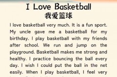 我有时候打半小时篮球的英文翻译 - 球队对阵分类下的文章配图