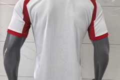 费尔南德斯球衣号码 - 全球赛事分类下的文章配图