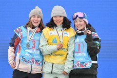 2021年女子滑雪冠军 - 实时动态分类下的文章配图