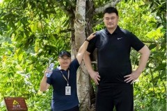 姚明的身高有多大 - 球队对阵分类下的文章配图