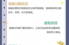 黄蜂蛰着手怎么办 - 实时动态分类下的文章配图