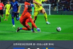 18年世界杯瑞典成绩 - 赛事资讯分类下的文章配图