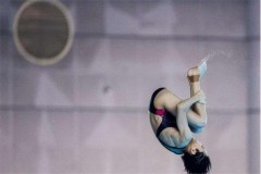 湛江跳水选手 - 全球赛事分类下的文章配图