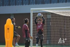 全世界一共多少职业女足选手 - 实时动态分类下的文章配图