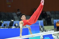 奥运男子双杠决赛名单 - 球队对阵分类下的文章配图