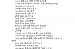 nba2k11怎么拉开单打 - 球队对阵分类下的文章配图