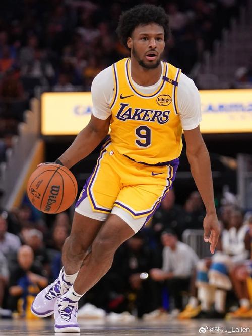 布朗尼詹姆斯身体数据