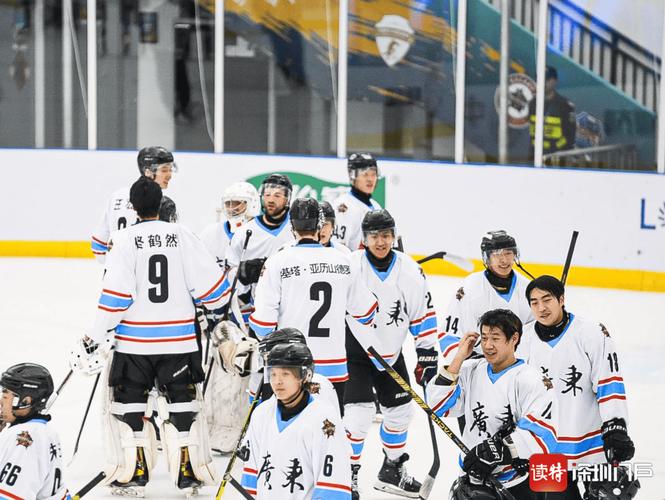 中国男子冰球队排名