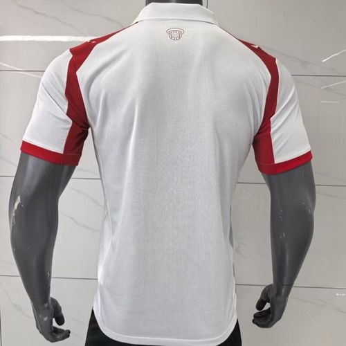 费尔南德斯球衣号码