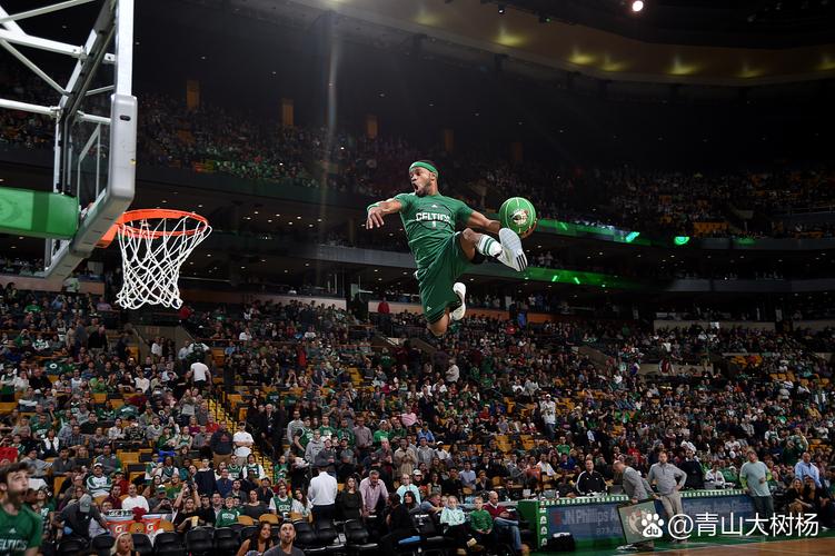 17年凯尔特人季后赛对手