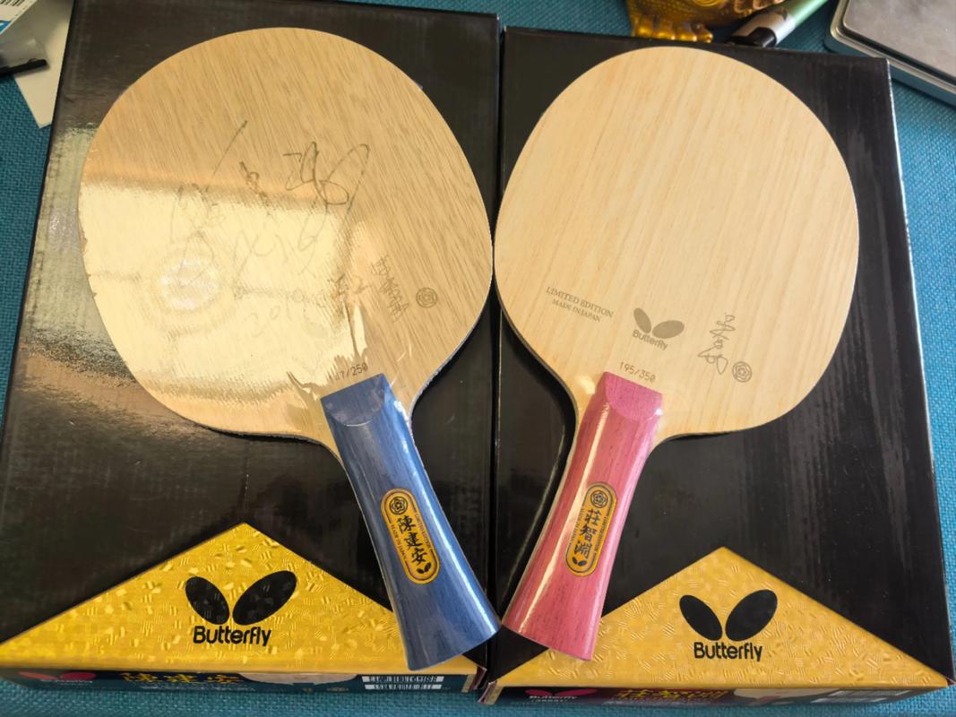 乒乓球有什么牌子