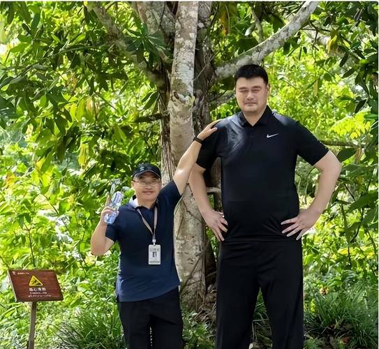 姚明的身高有多大