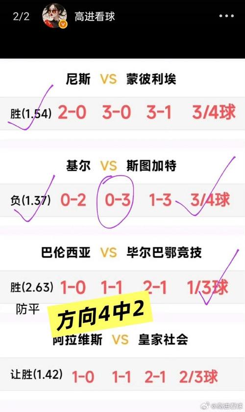 06年世界杯法国队成绩