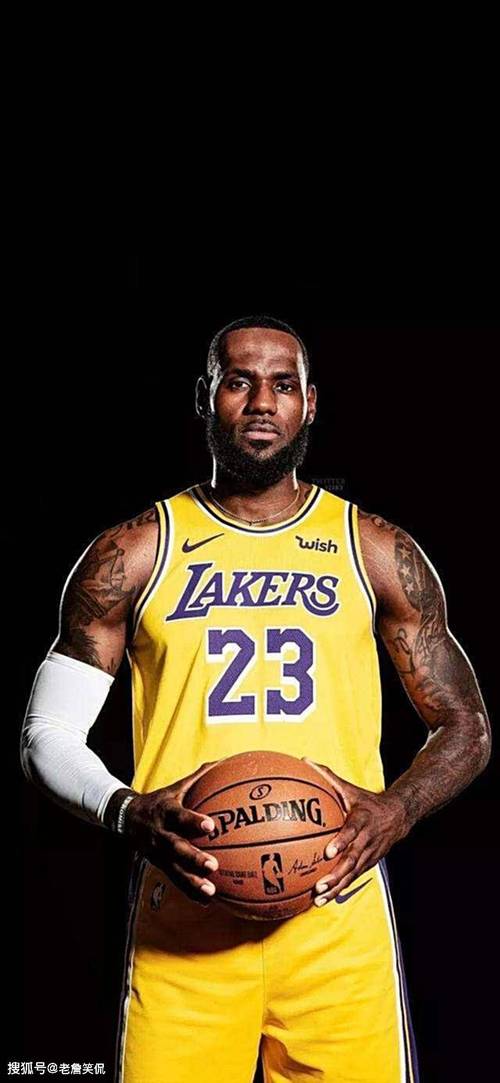 勒布朗詹姆斯的简介