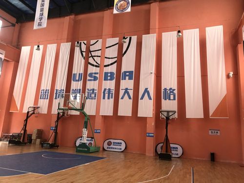 美国篮球场收费吗