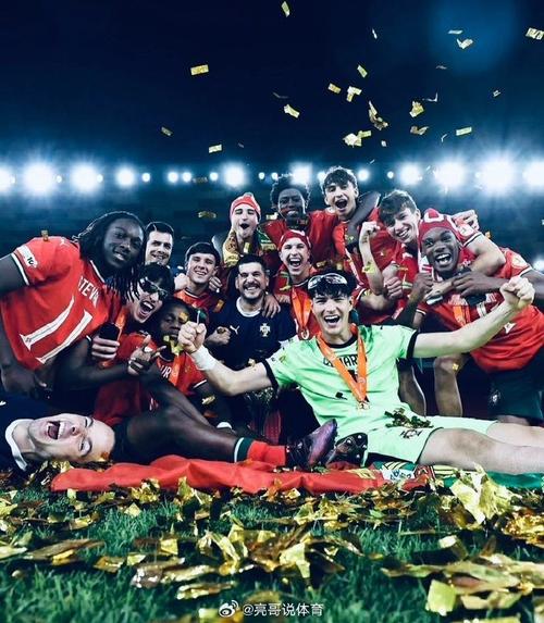 世界杯踢完了吗