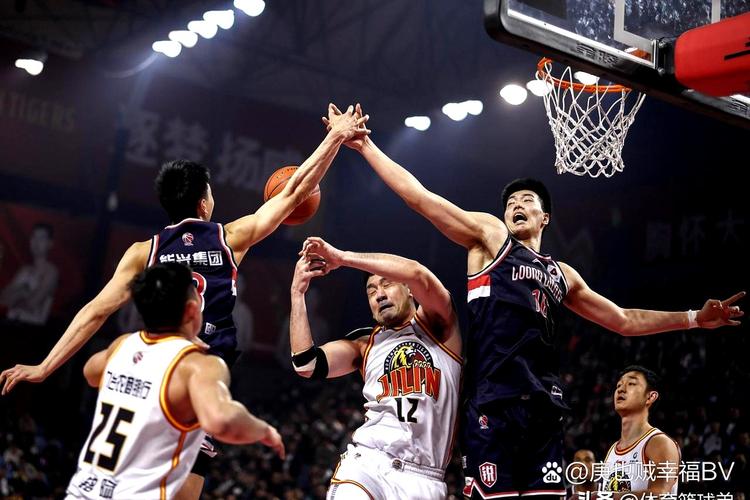上海男篮比赛结果