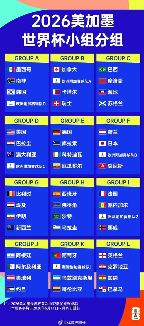 世界杯小组赛12强
