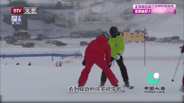 沙宝亮跳水是什么节目