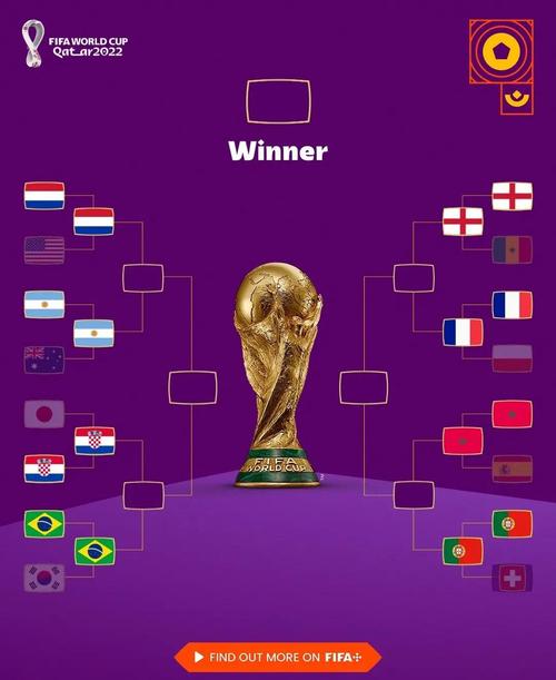 卡塔尔世界杯预选赛排名第几