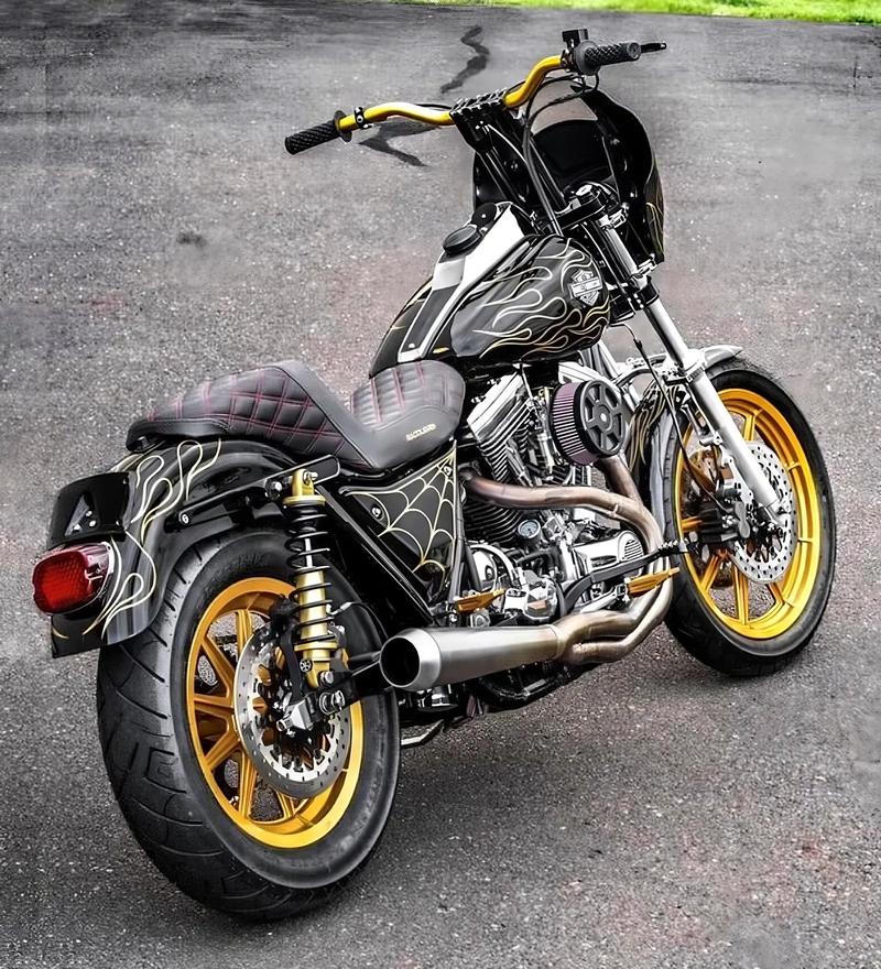 2020款哈雷威路德：速度与激情的完美融合，让我欲罢不能！